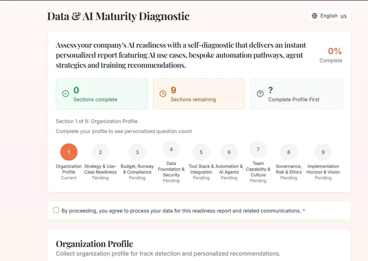 Data & AI Maturity Diagnostic — sectioned self-assessment flow